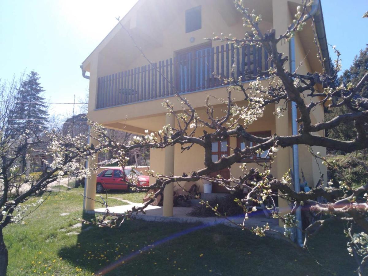 Dedinje Villa Jagodina Buitenkant foto