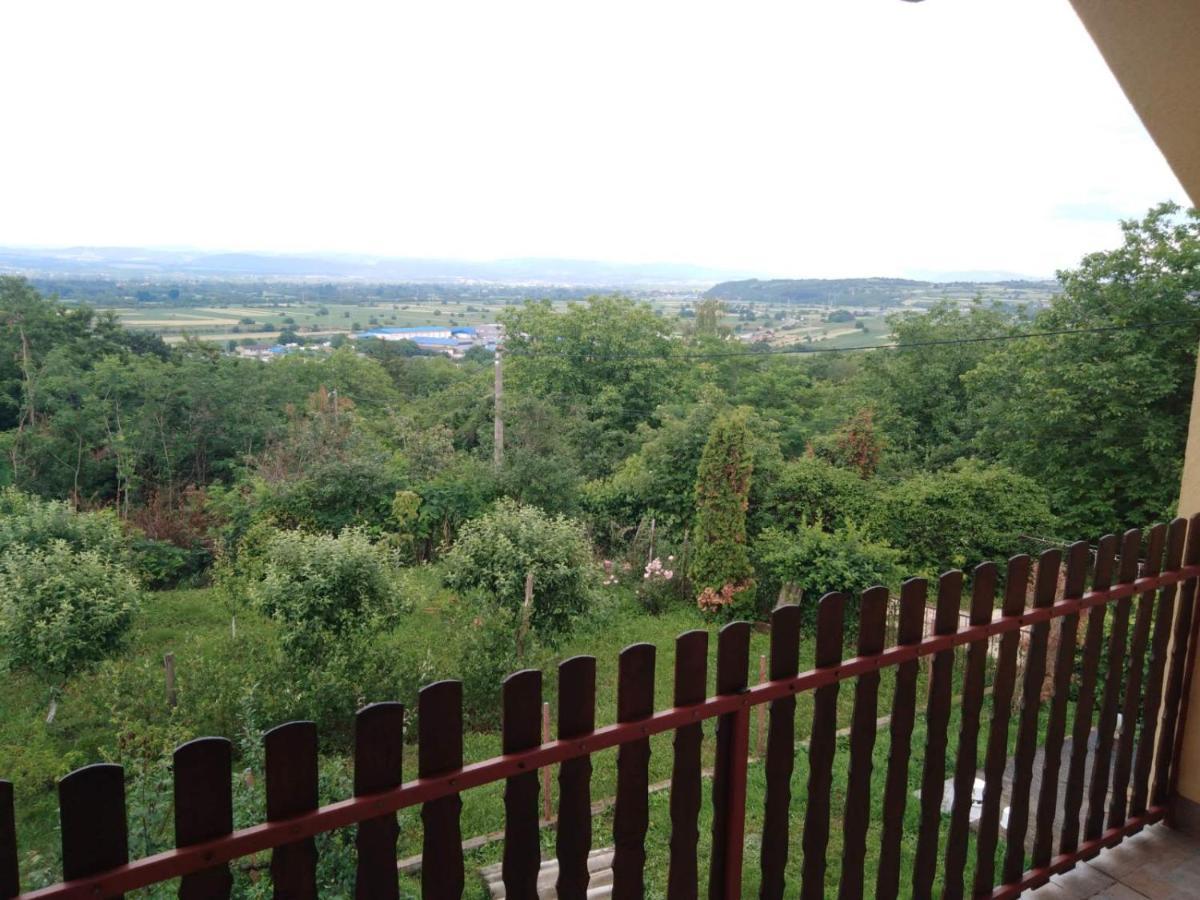 Dedinje Villa Jagodina Buitenkant foto
